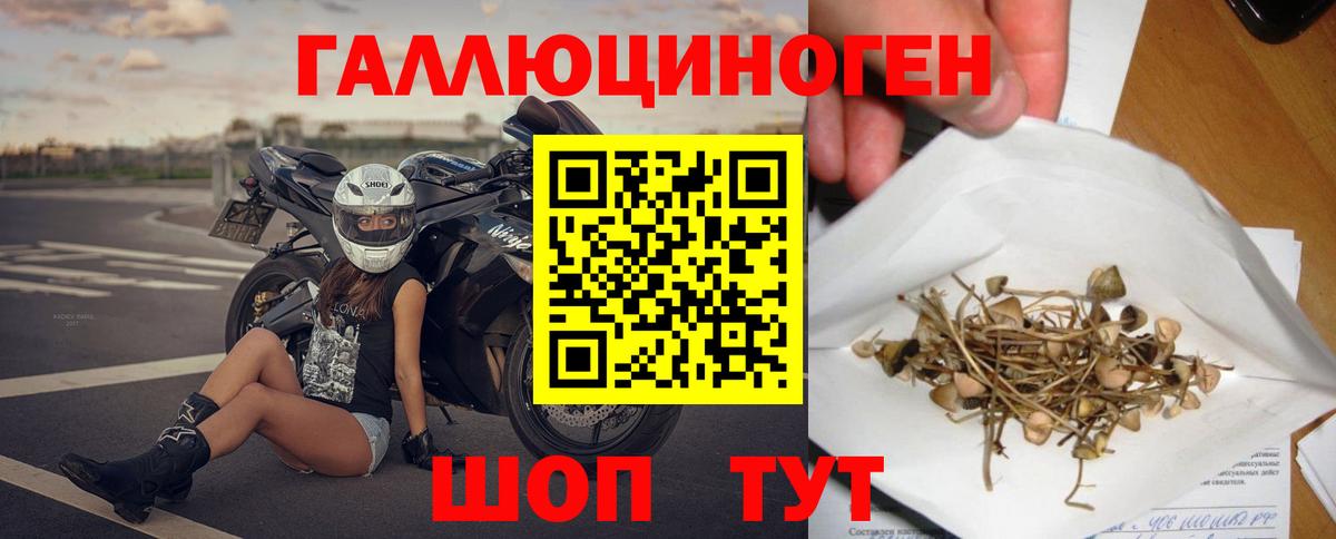 Галлюциногенные грибы GOLDEN TEACHER  Псилоцибиновые грибы Cubensis  Тамбов  Вход с VPN 